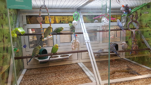 Pet Supply Store «PetSmart», reviews and photos, 1297 Promenade Pl, Eagan, MN 55121, USA