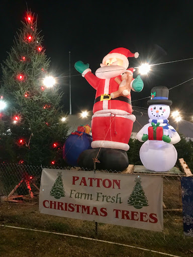 PATTON CHRISTMAS TREES