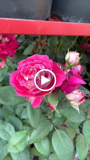 Home Improvement Store «The Home Depot», reviews and photos, 3051 E Main St, Mohegan Lake, NY 10547, USA