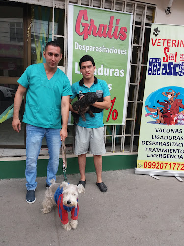 Opiniones de Veterinaria Solo Mascotas en Durán - Médico