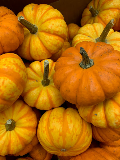 Garden Center «Dees Nursery & Florist», reviews and photos, 69 Atlantic Ave, Oceanside, NY 11572, USA