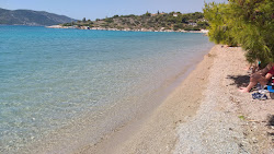 Iliakti Salamis Beach'in fotoğrafı ve yerleşim