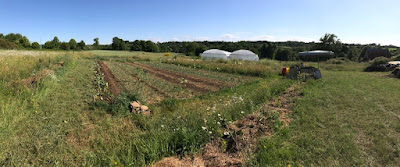 Les Jardins de La Rogerie à Landivy