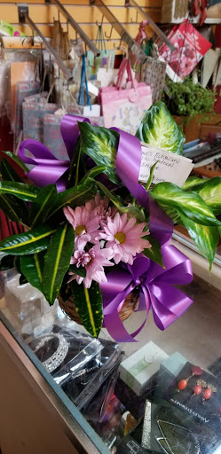 Florist «The Flower Pot & Basket Shop», reviews and photos, 5631 W Madison St, Chicago, IL 60644, USA