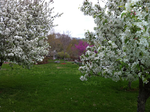 Water Park «Kentucky Splash WaterPark and Campground», reviews and photos, 1050 Kentucky 92, Williamsburg, KY 40769, USA