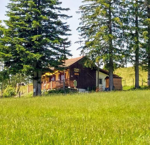 site_photo4