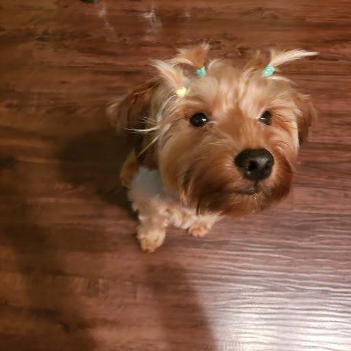 Pet Supply Store «Petco Animal Supplies», reviews and photos, 103 Commerce Way a, Woburn, MA 01801, USA