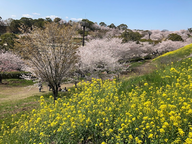 菊池公園 多目的グラウンド