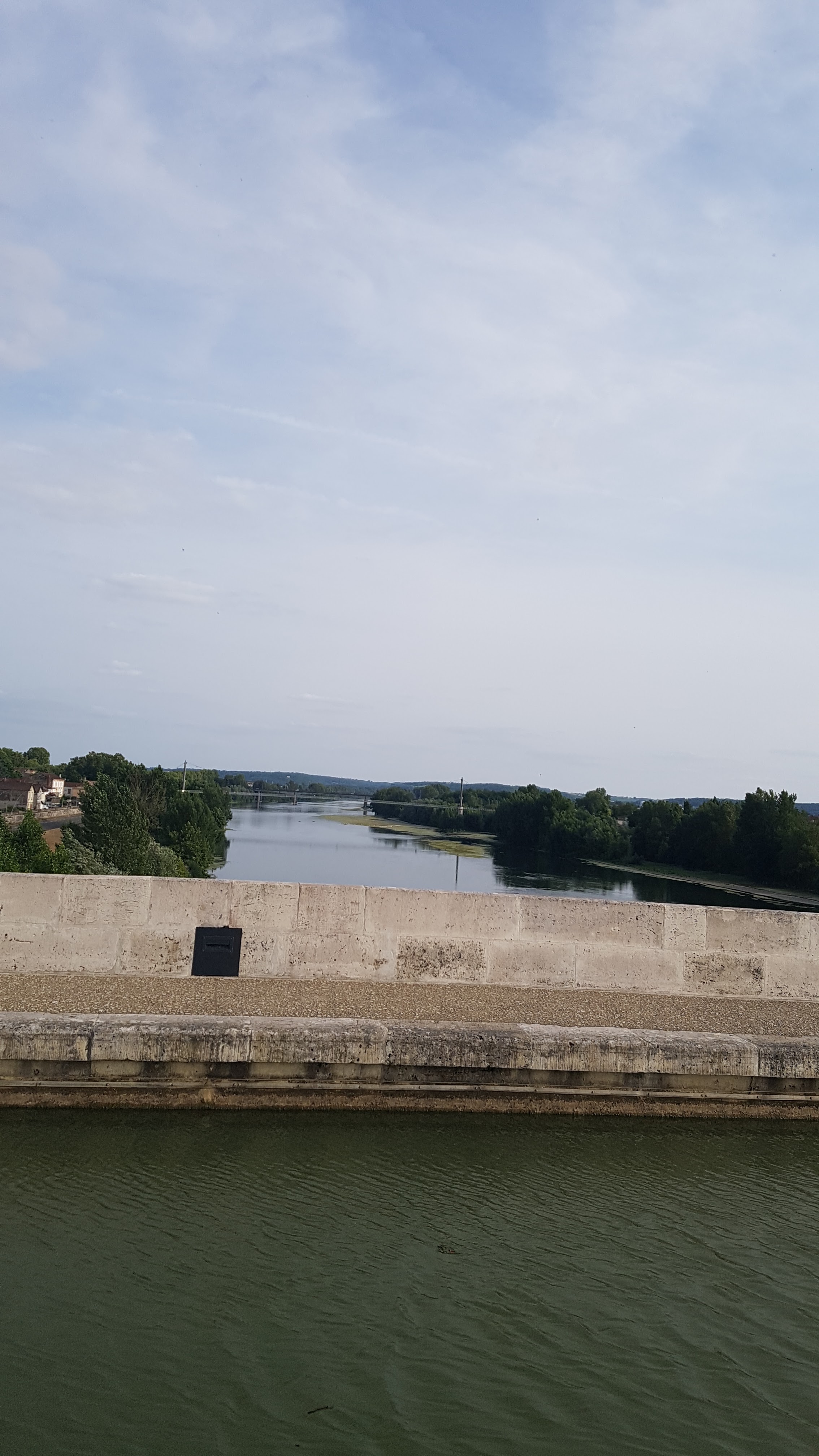 Photo n° 6 de l'avis de Henri.e fait le 21/07/2019 à 18:06
