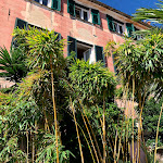 Photo n°8 de l'avis de Davide.u fait le 22/09/2021 à 09:59 sur le  Cafè Ariel à Cervo