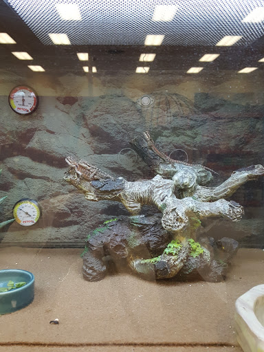 Pet Supply Store «Petco Animal Supplies», reviews and photos, 4209 Wheaton Way, Bremerton, WA 98310, USA