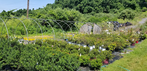 Garden Center «Distinctive Gardens», reviews and photos, 1531 Telegraph Rd, West Chester, PA 19380, USA