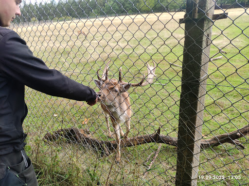 Tiergehege Hildburghausen unter Hildburghausen, 
