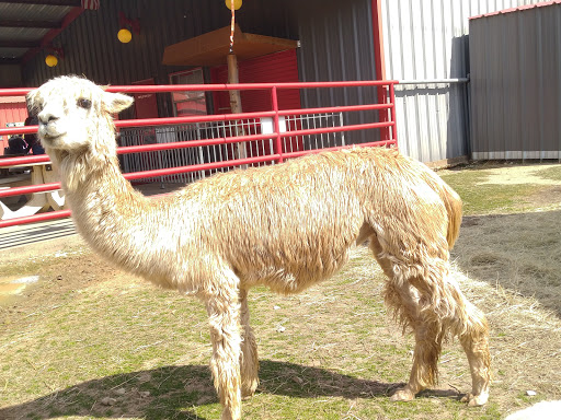 Ranch «Sharkarosa Wildlife Ranch», reviews and photos, 11670 Massey Rd, Pilot Point, TX 76258, USA