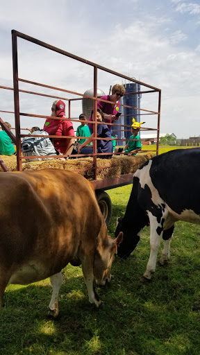 Dairy Farm «Cows-N-Corn», reviews and photos, 5225 Catlett Rd, Midland, VA 22728, USA