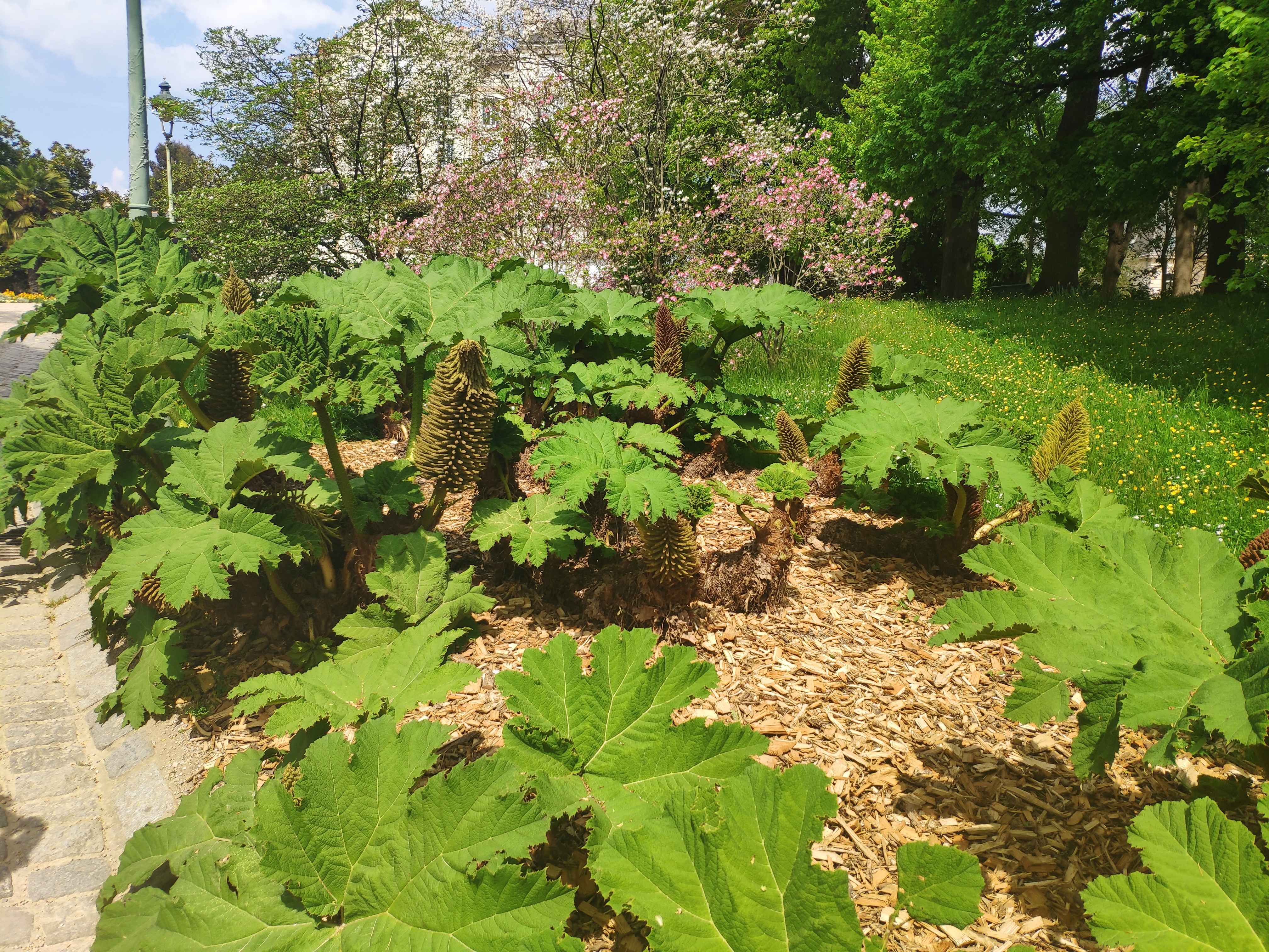 Photo n° 3 de l'avis de Hélène.h fait le 23/04/2019 à 10:48