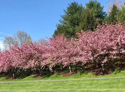 Golf Course «River Creek Club», reviews and photos, 43800 Olympic Blvd, Leesburg, VA 20176, USA