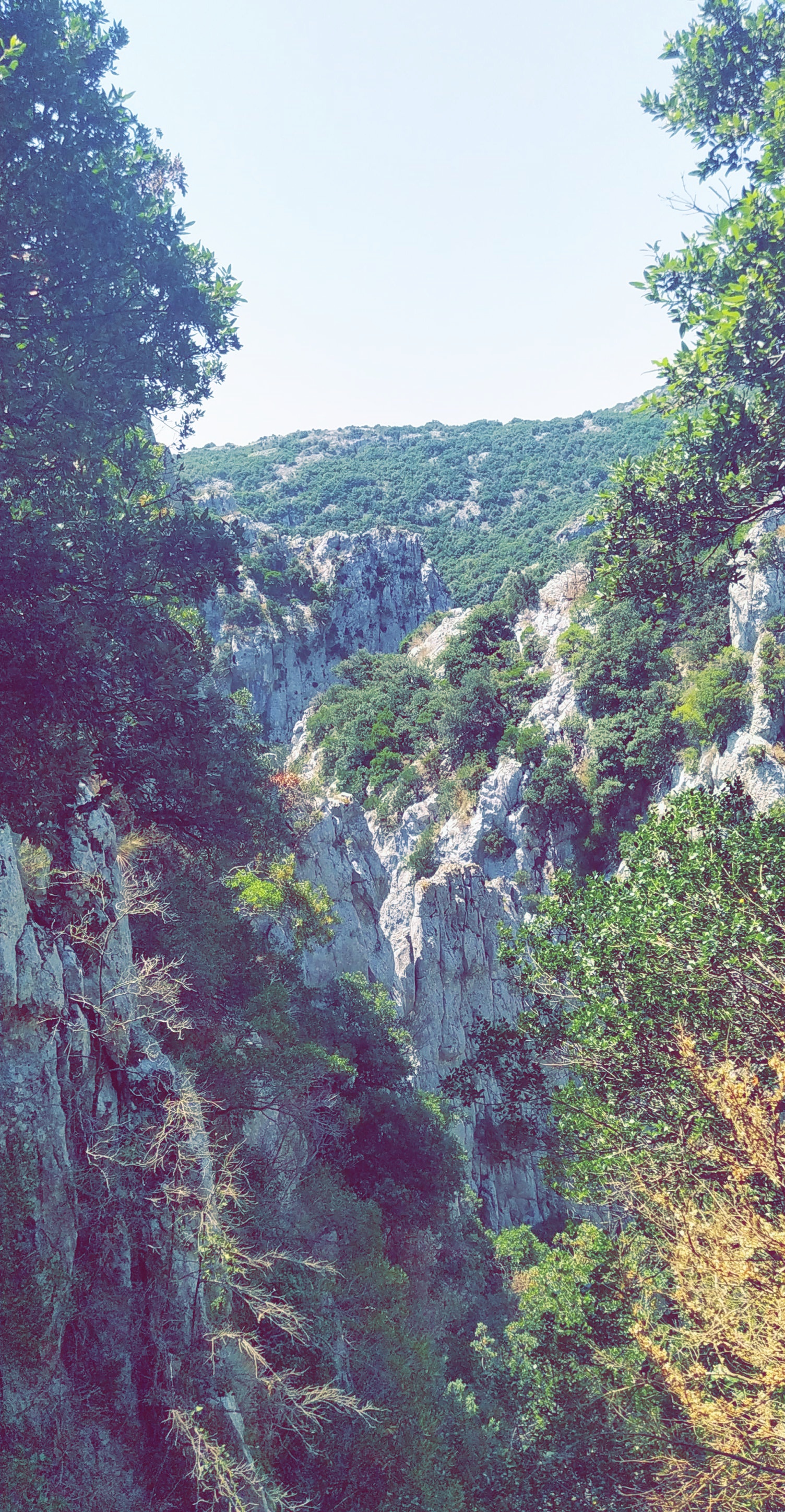 Photo n° 2 de l'avis de Sam.h fait le 16/08/2020 à 08:18