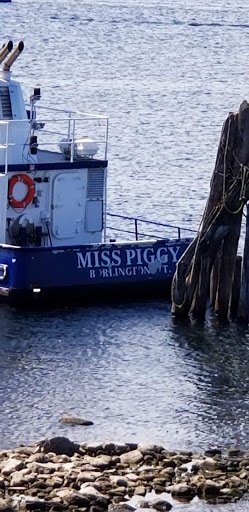 Science Museum «ECHO, Leahy Center for Lake Champlain», reviews and photos, 1 College St, Burlington, VT 05401, USA