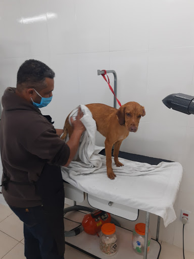 Veterinary Medical Center Pet's Health em São Paulo - SP
