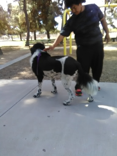 Park «Folley Memorial Park», reviews and photos, 601 E Frye Rd, Chandler, AZ 85225, USA