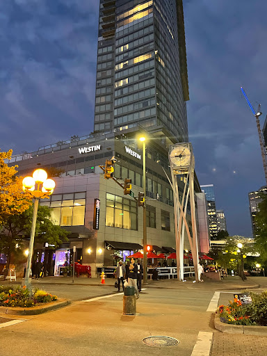 Clothing Store «The North Face», reviews and photos, 1001 Bellevue Way NE, Bellevue, WA 98004, USA