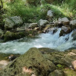 Photo n°3 de l'avis de Yani.a fait le 22/08/2023 à 10:41 sur le  Ristorante Capofiume à Collepardo