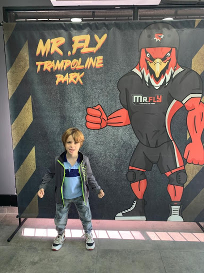 Mr.Fly Trampoline Park