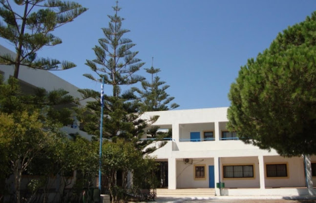 Γυμνάσιο Αντιμάχειας