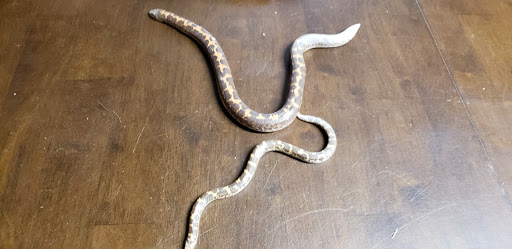 Pet Store «Suncoast Pets», reviews and photos, 7117 US-98, Panama City Beach, FL 32407, USA