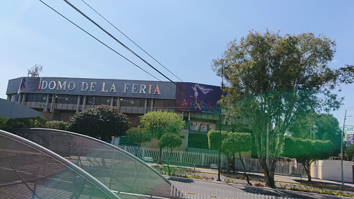 ⊛Zona Piel | Outlet en Leon Gto