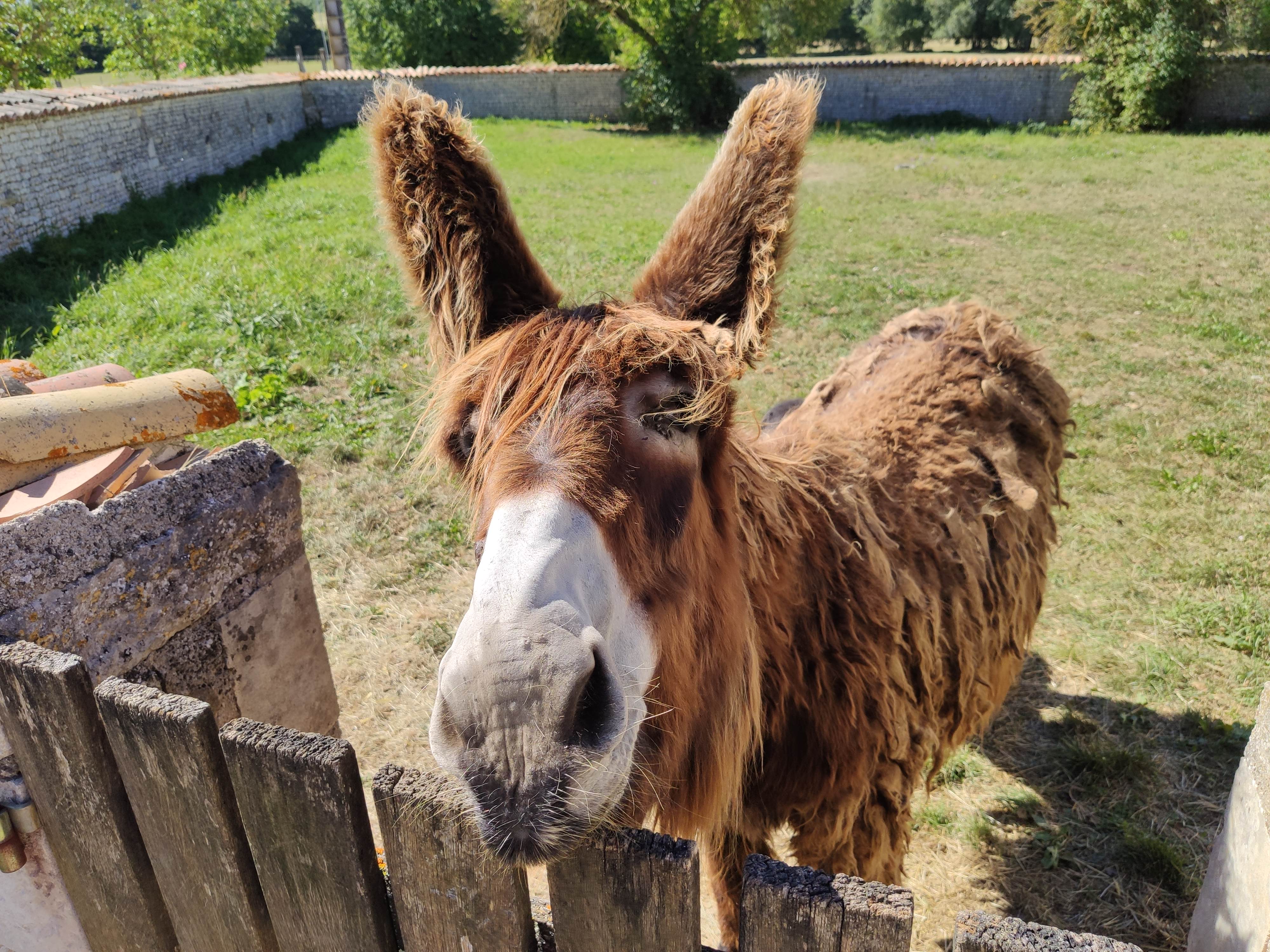 Photo n° 3 de l'avis de carole.o fait le 17/07/2020 à 20:31