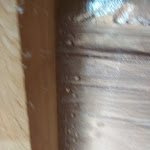 Photo n° 1 de l'avis de stephane.i fait le 19/12/2017 à 09:36 pour Richard Rousse à Saligny