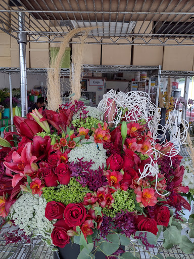 FLORERIA BLANQUITA – Aguascalientes