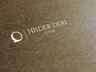 HİSDER DERİ (luizza)