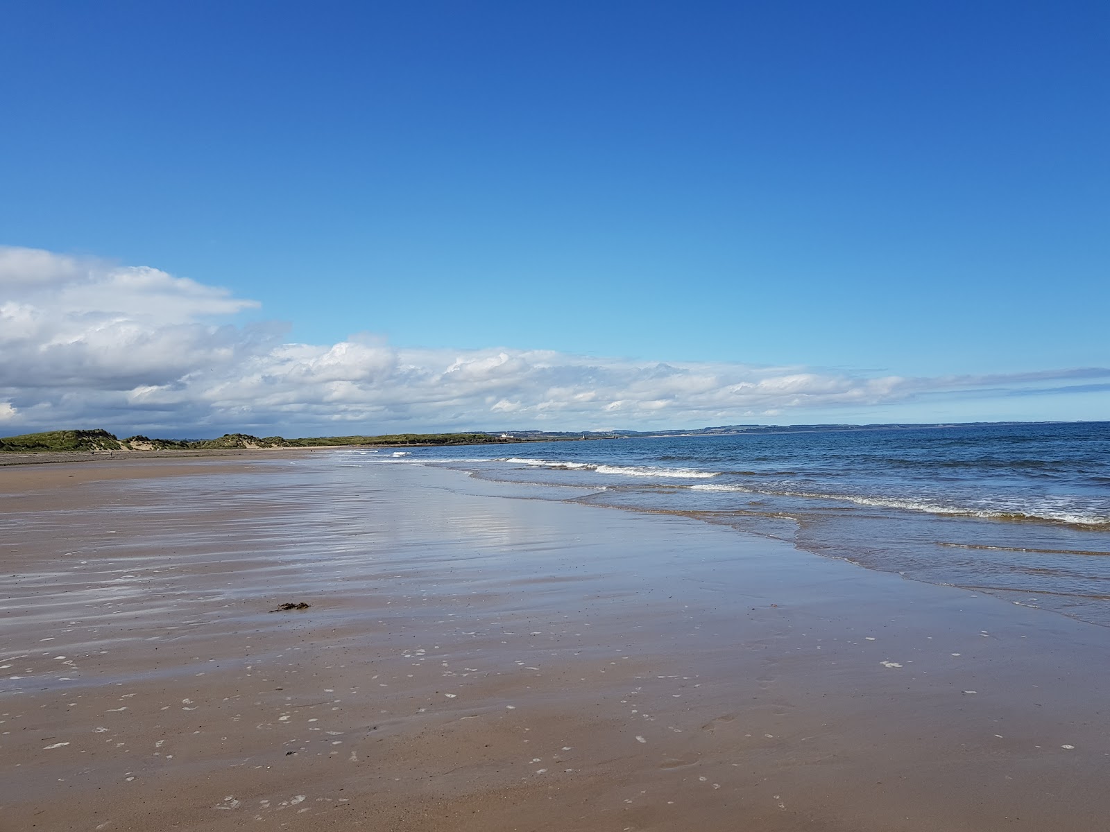 Foto van Low Hauxley beach wilde omgeving