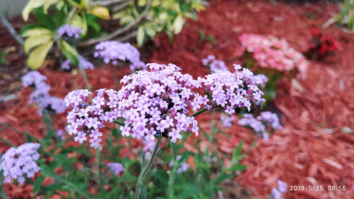 Community Center «Sunset Lakes Community Center», reviews and photos, 2801 SW 186th Ave, Miramar, FL 33029, USA