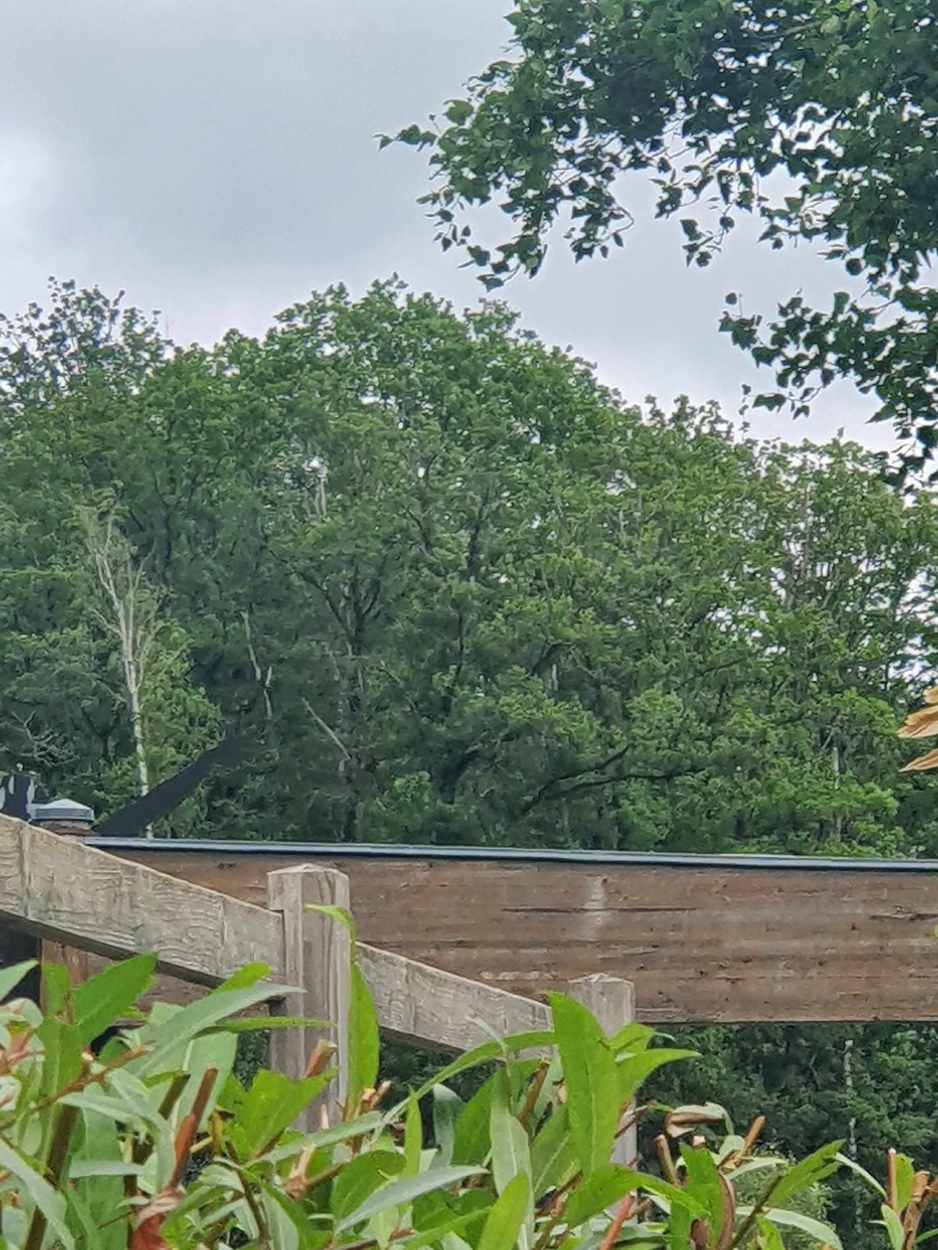 Photo n° 9 de l'avis de Mickael.e fait le 15/07/2023 à 13:18