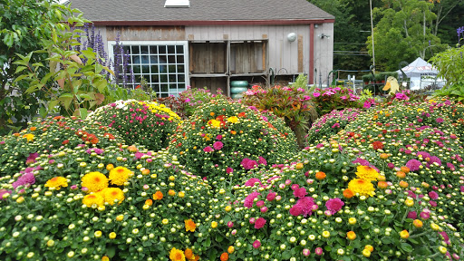Garden Center «Copia Home and Garden», reviews and photos, 475 Smith Ridge Rd, South Salem, NY 10590, USA