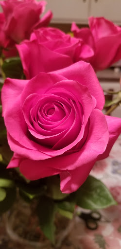 Supermarket «Best Market West Babylon South», reviews and photos, 531 Montauk Hwy, West Babylon, NY 11704, USA