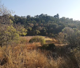 Kruin Park photo