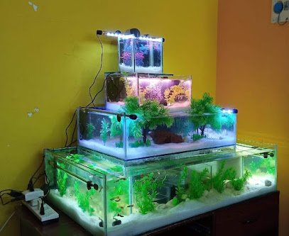 செந்தூர் ஶ்ரீ சிமாட்டி fish aquarium