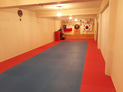 Academia De Taekwondo Koryo Temuco