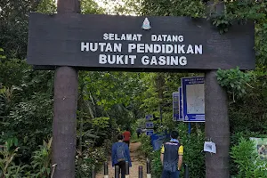 Hutan Pendidikan Bukit Gasing image