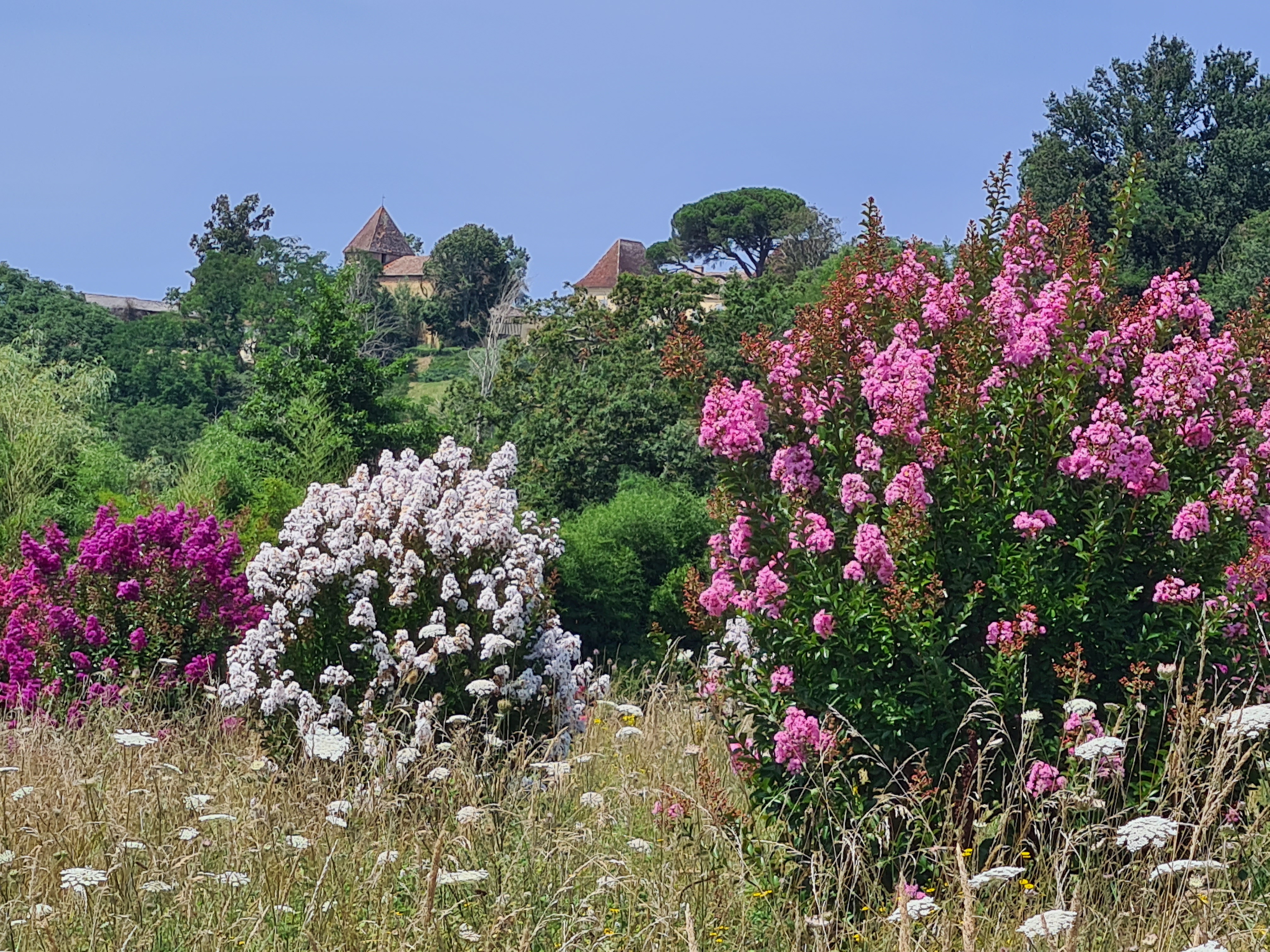 Photo n° 4 de l'avis de Hélène. fait le 25/07/2023 à 15:15