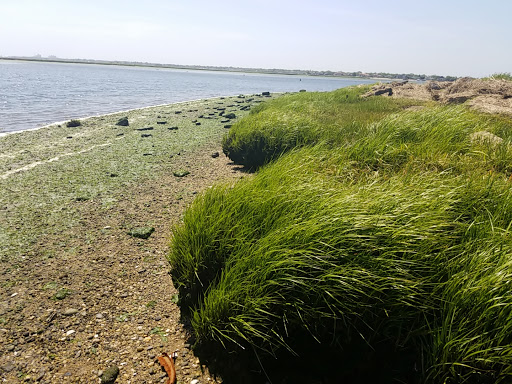 Golf Course «Bay Park Golf Course», reviews and photos, 1 1st Ave, East Rockaway, NY 11518, USA