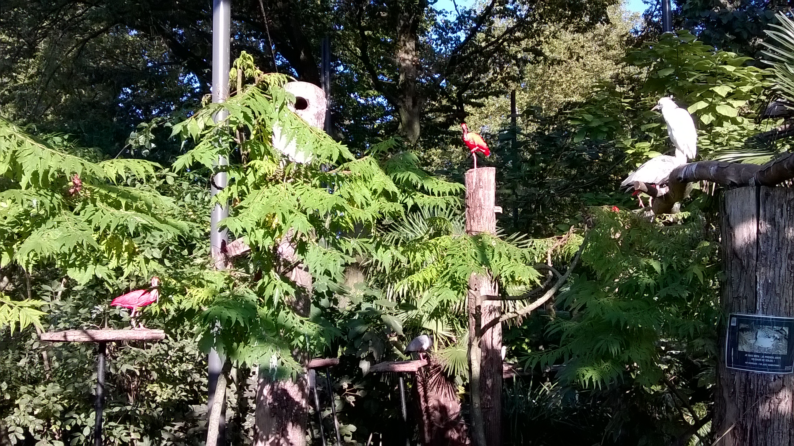 Photo n° 7 de l'avis de J-F.. fait le 01/06/2022 à 15:25