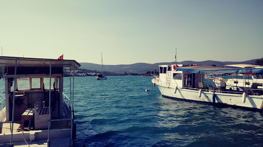 Kazıklı Balık Turu Ve Kaptanları