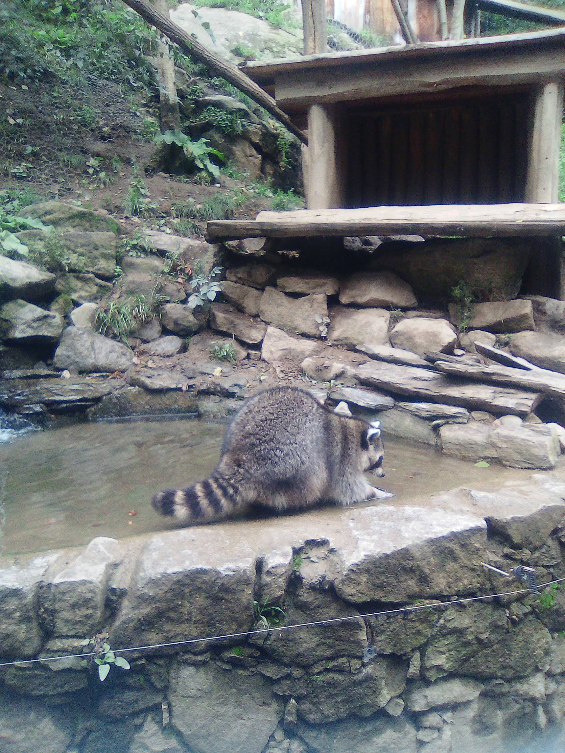 Photo n° 7 de l'avis de Imelda.i fait le 24/08/2019 à 20:04