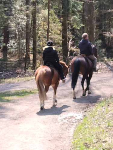 Manège de Bulle Gavillet Valentin - Reisebüro